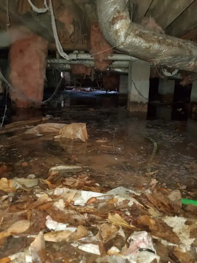 Crawl space flood assessment for Commercial Water Damage Restoration in Hampshire